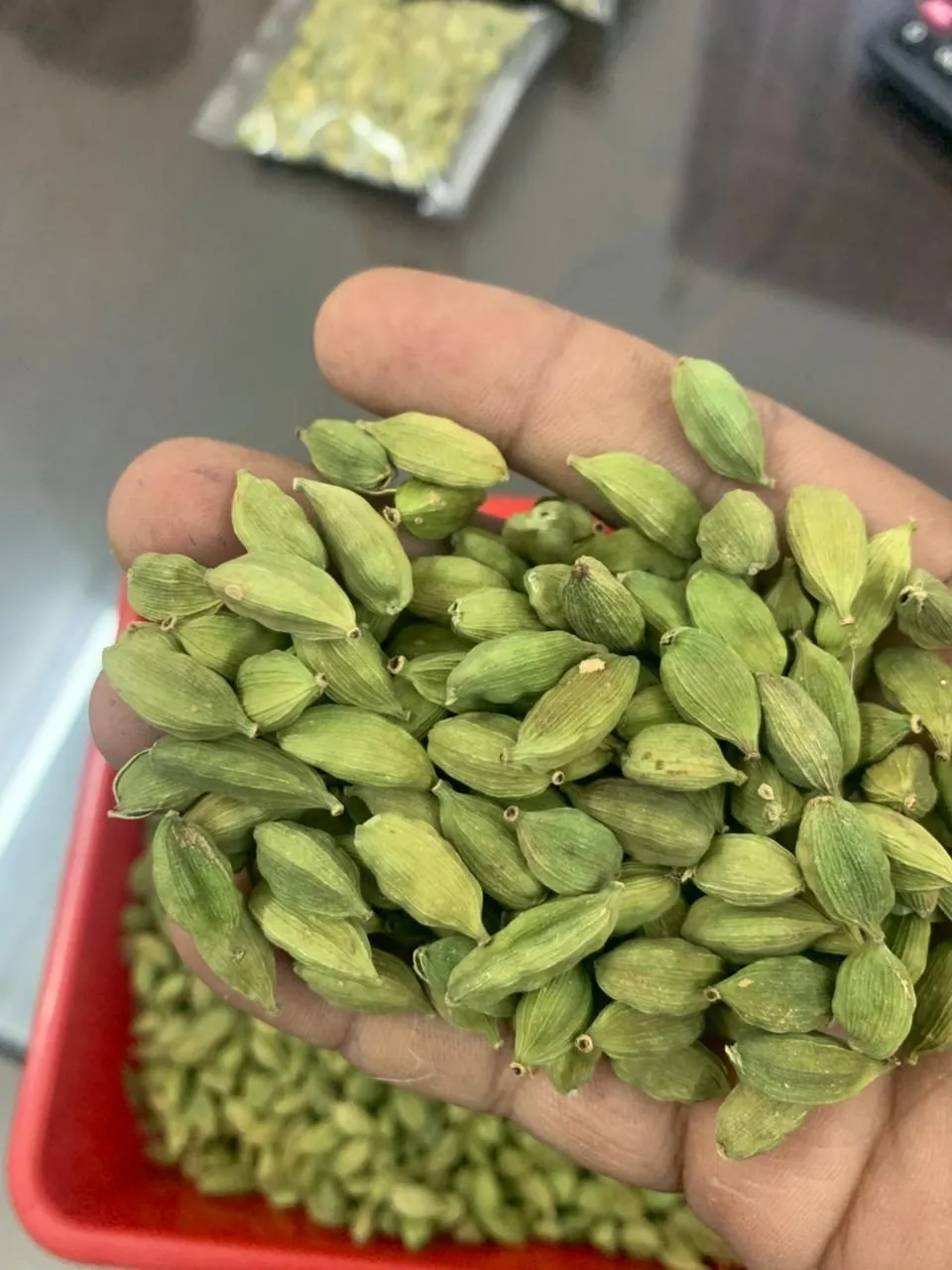 Green cardamom pods held in a hand above a tray of more pods