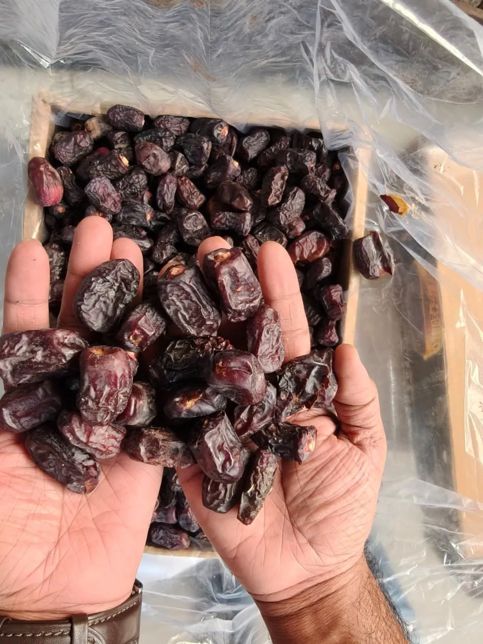 Hands full of dark dates above an open carton of dates